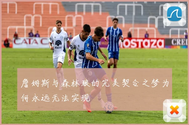 詹姆斯与森林狼的完美契合之梦为何永远无法实现